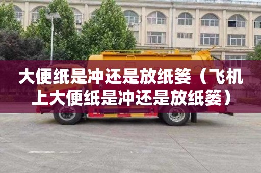 大便纸是冲还是放纸篓（飞机上大便纸是冲还是放纸篓）