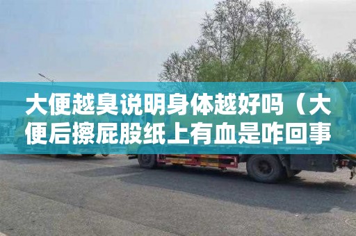大便越臭说明身体越好吗（大便后擦屁股纸上有血是咋回事）