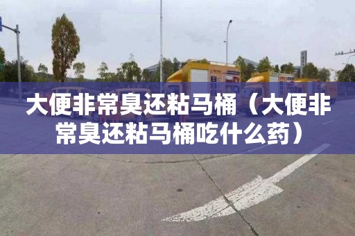 大便非常臭还粘马桶（大便非常臭还粘马桶吃什么药）