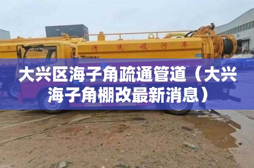 大兴区海子角疏通管道（大兴海子角棚改最新消息）