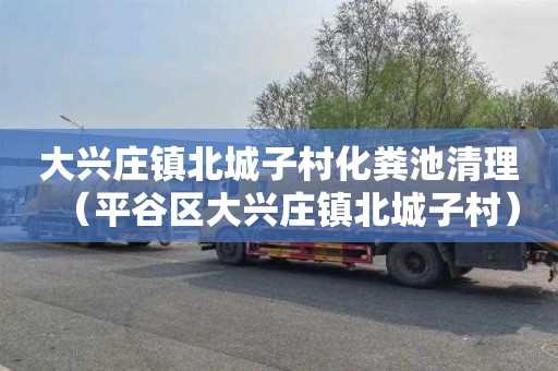 大兴庄镇北城子村化粪池清理（平谷区大兴庄镇北城子村）