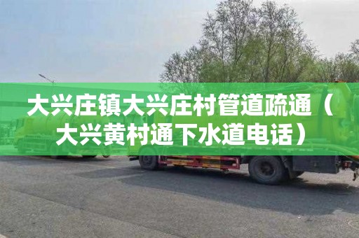 大兴庄镇大兴庄村管道疏通（大兴黄村通下水道电话）
