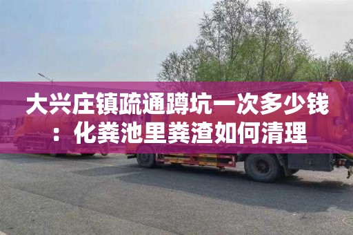 大兴庄镇疏通蹲坑一次多少钱：化粪池里粪渣如何清理