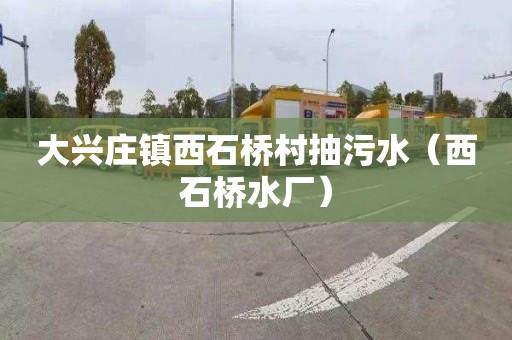 大兴庄镇西石桥村抽污水（西石桥水厂）