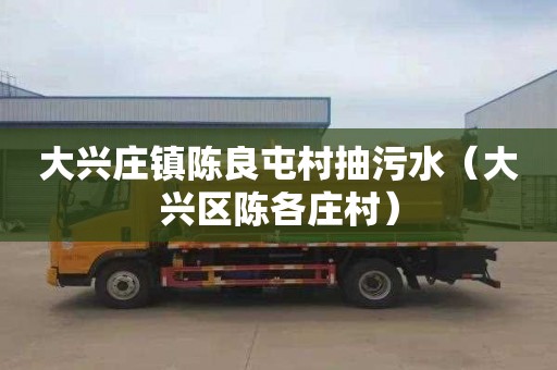 大兴庄镇陈良屯村抽污水（大兴区陈各庄村）