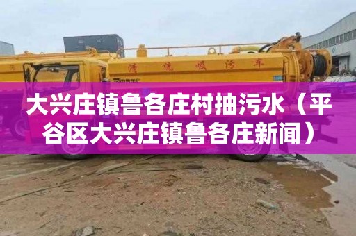 大兴庄镇鲁各庄村抽污水（平谷区大兴庄镇鲁各庄新闻）
