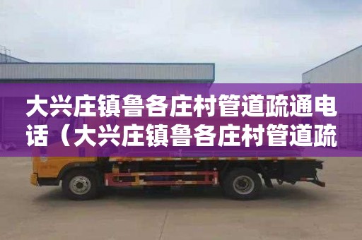 大兴庄镇鲁各庄村管道疏通电话（大兴庄镇鲁各庄村管道疏通电话号码）