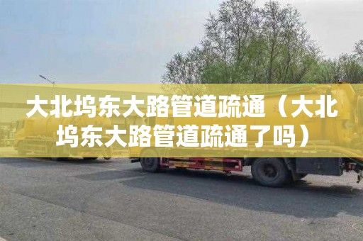 大北坞东大路管道疏通（大北坞东大路管道疏通了吗）