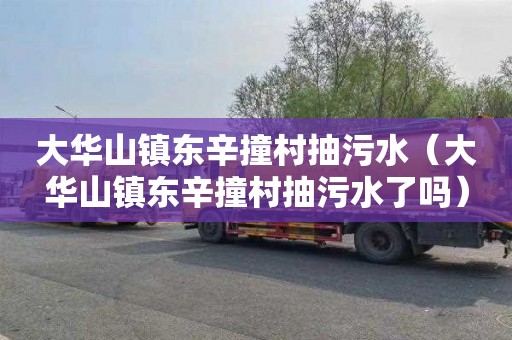 大华山镇东辛撞村抽污水（大华山镇东辛撞村抽污水了吗）