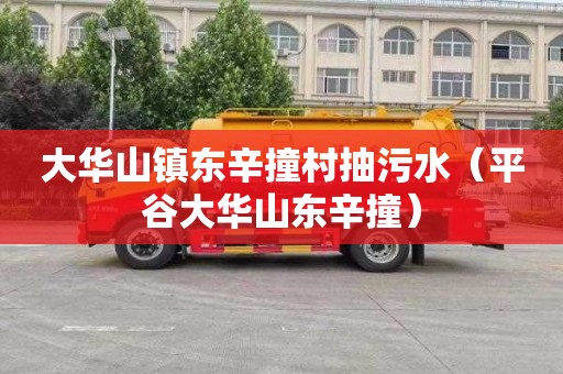 大华山镇东辛撞村抽污水（平谷大华山东辛撞）