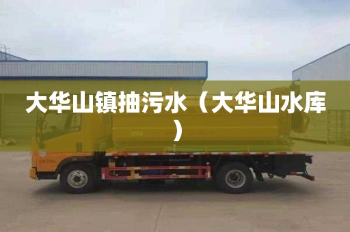 大华山镇抽污水（大华山水库）