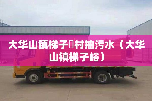 大华山镇梯子硲村抽污水（大华山镇梯子峪）