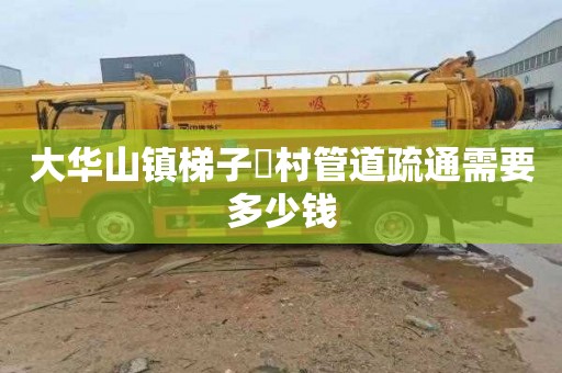 大华山镇梯子硲村管道疏通需要多少钱
