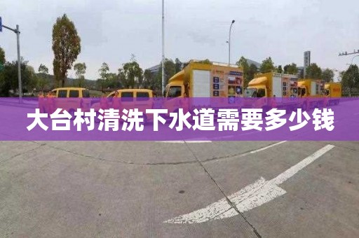 大台村清洗下水道需要多少钱