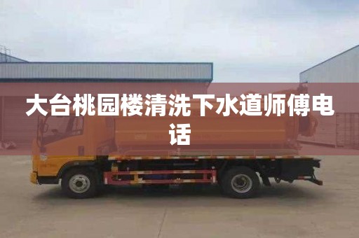 大台桃园楼清洗下水道师傅电话
