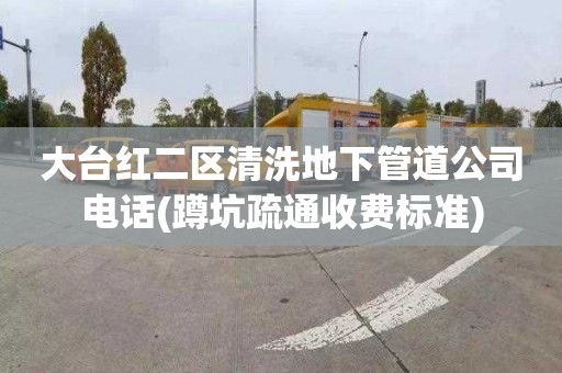 大台红二区清洗地下管道公司电话(蹲坑疏通收费标准)