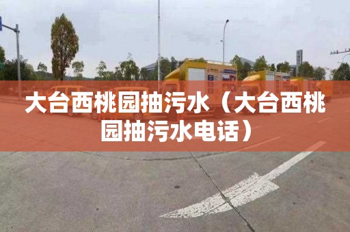 大台西桃园抽污水（大台西桃园抽污水电话）