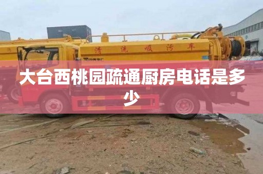 大台西桃园疏通厨房电话是多少