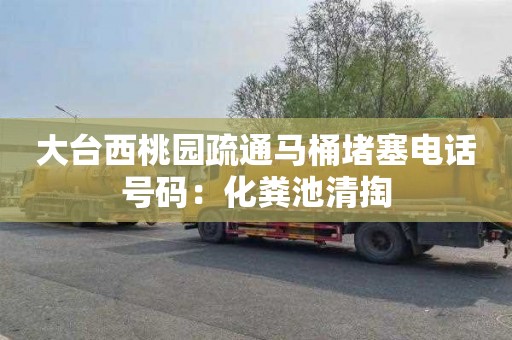 大台西桃园疏通马桶堵塞电话号码：化粪池清掏