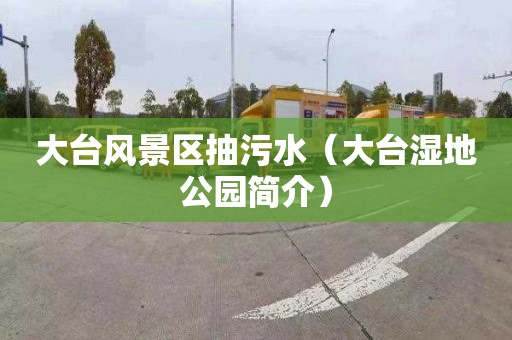 大台风景区抽污水（大台湿地公园简介）