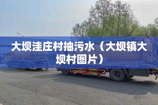 大坝洼庄村抽污水（大坝镇大坝村图片）