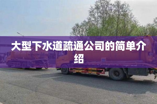 大型下水道疏通公司的简单介绍