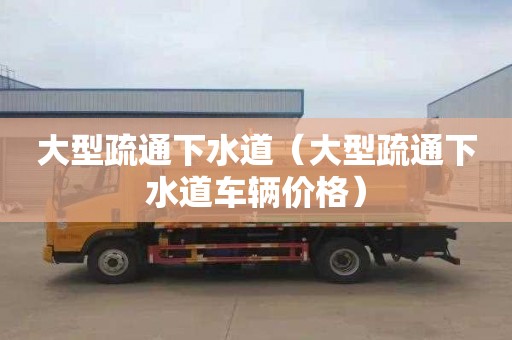 大型疏通下水道（大型疏通下水道车辆价格）
