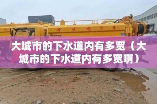 大城市的下水道内有多宽（大城市的下水道内有多宽啊）
