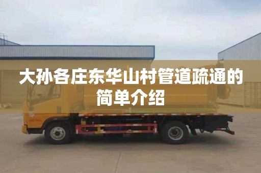 大孙各庄东华山村管道疏通的简单介绍