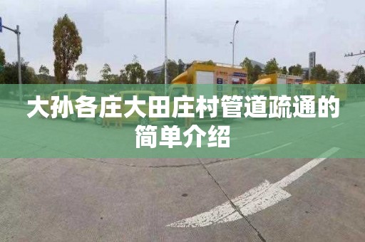 大孙各庄大田庄村管道疏通的简单介绍