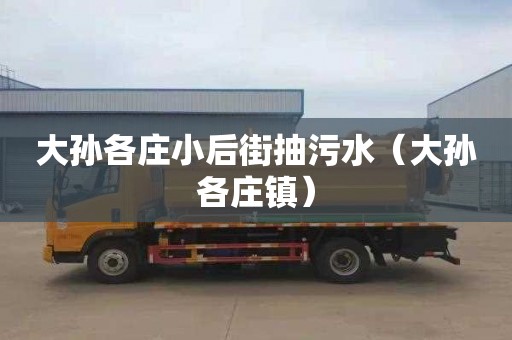大孙各庄小后街抽污水（大孙各庄镇）