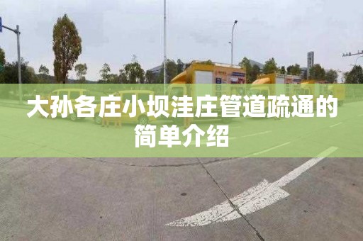 大孙各庄小坝洼庄管道疏通的简单介绍