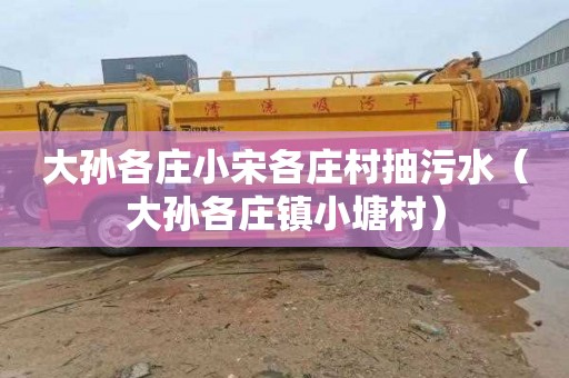 大孙各庄小宋各庄村抽污水（大孙各庄镇小塘村）