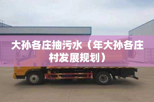 大孙各庄抽污水（年大孙各庄村发展规划）