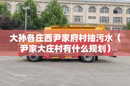大孙各庄西尹家府村抽污水（尹家大庄村有什么规划）