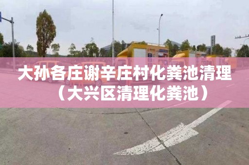 大孙各庄谢辛庄村化粪池清理（大兴区清理化粪池）