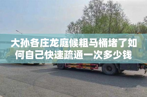大孙各庄龙庭候粗马桶堵了如何自己快速疏通一次多少钱