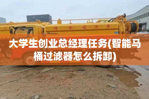 大学生创业总经理任务(智能马桶过滤器怎么拆卸)