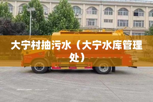大宁村抽污水（大宁水库管理处）