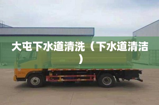 大屯下水道清洗（下水道清洁）