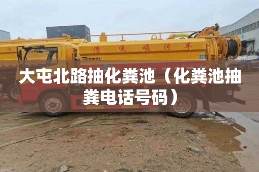 大屯北路抽化粪池（化粪池抽粪电话号码）