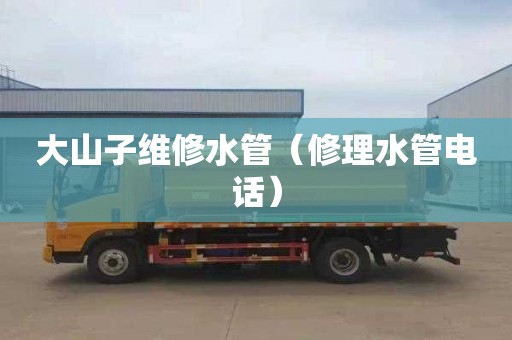 大山子维修水管（修理水管电话）