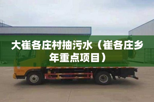 大崔各庄村抽污水（崔各庄乡年重点项目）