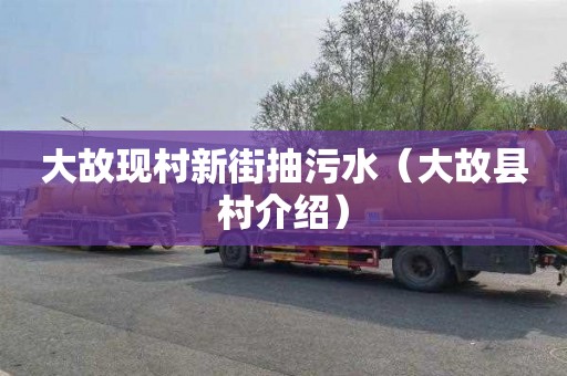 大故现村新街抽污水（大故县村介绍）