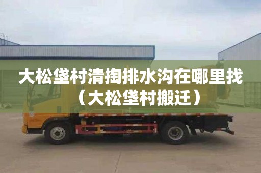 大松垡村清掏排水沟在哪里找（大松垡村搬迁）