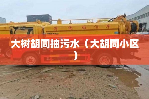 大树胡同抽污水（大胡同小区）