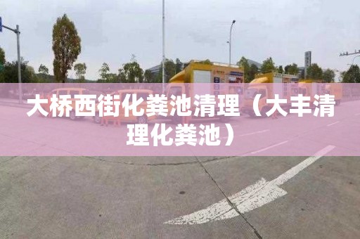 大桥西街化粪池清理（大丰清理化粪池）