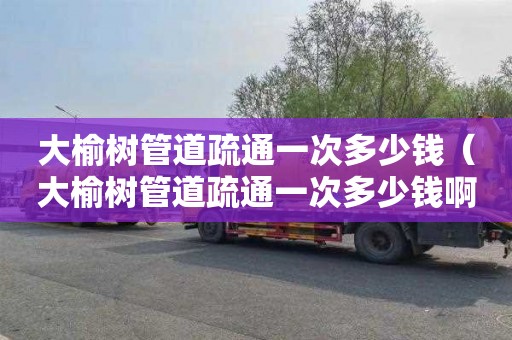 大榆树管道疏通一次多少钱（大榆树管道疏通一次多少钱啊）