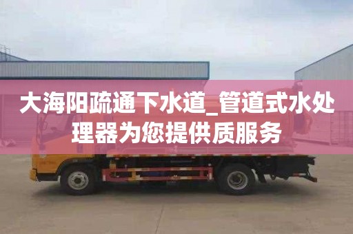 大海阳疏通下水道_管道式水处理器为您提供质服务