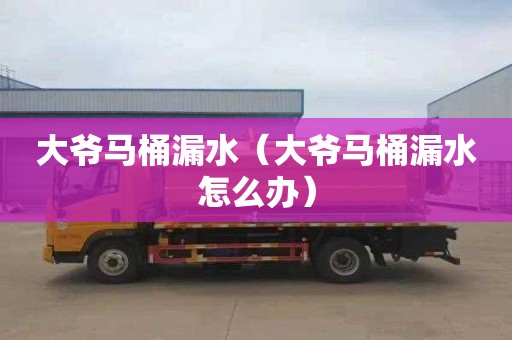 大爷马桶漏水（大爷马桶漏水怎么办）